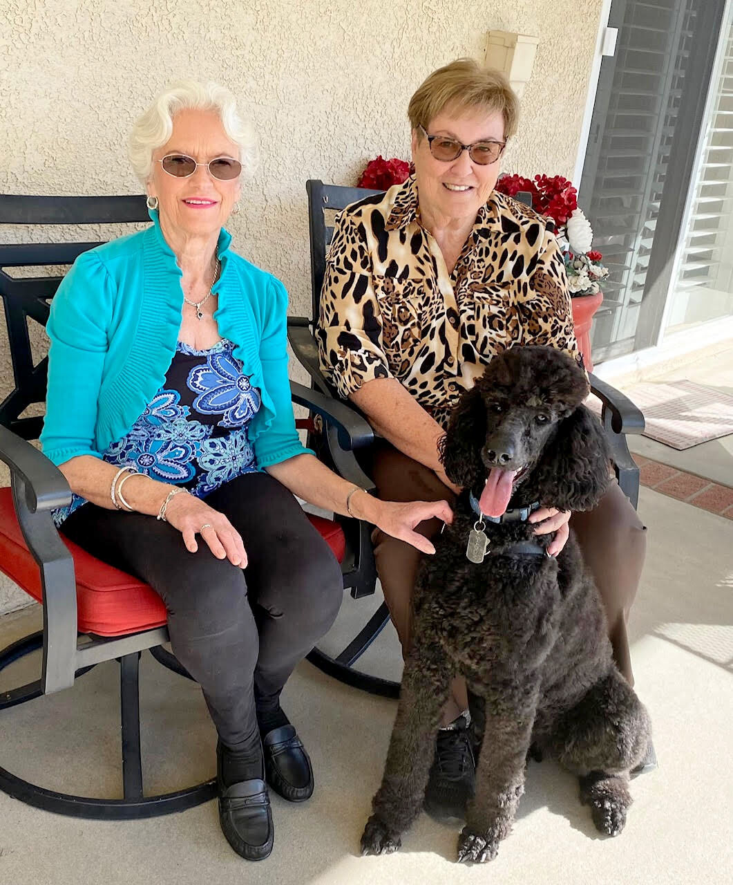Guide Dogs of the Desert